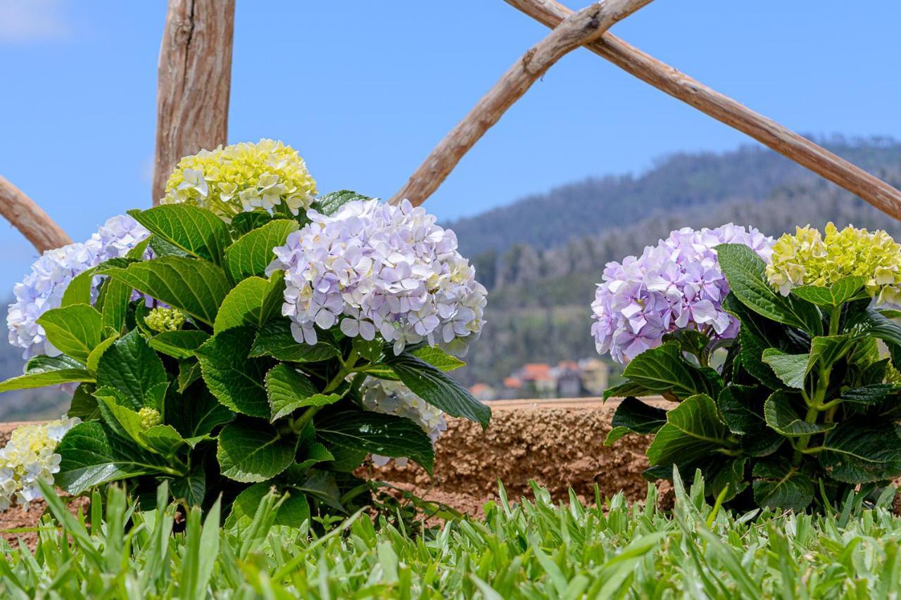 Holiday home Recanto Florencas Arco da Calheta (Madeira)